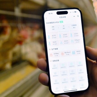 La Cina crea un sistema di registrazione per i diritti di proprietà dei dati