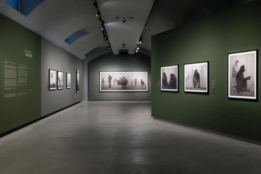 Alle Gallerie d’Italia di Torino la mostra “Nick Brandt” Alle Gallerie d’Italia di Torino la mostra “Nick Brandt”