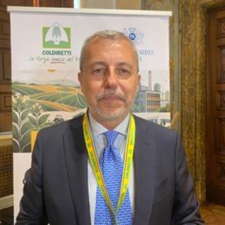 Tabacco, Nevi (FI): "Accordo Philip Morris e agricoltori modello da replicare" Tabacco, Nevi (FI): "Accordo Philip Morris e agricoltori modello da replicare"