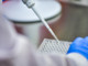 Curigliano (Esmo): "Test genomici per il cancro nei seno nei Lea passo avanti verso cure su misura" Curigliano (Esmo): "Test genomici per il cancro nei seno nei Lea passo avanti verso cure su misura"