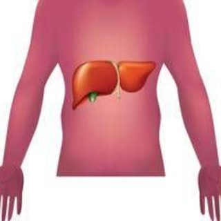 Malattie autoimmuni del fegato, nuova strategia con nanovettori in studio italiano