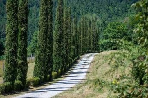 Sostenibilità, tenuta Acqua Panna habitat ideale di 121 specie di vertebrati e piante Sostenibilità, tenuta Acqua Panna habitat ideale di 121 specie di vertebrati e piante