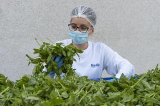 Barilla, fino a 650.000 analisi l'anno e 250 risorse dedicate per la sicurezza nel piatto Barilla, fino a 650.000 analisi l'anno e 250 risorse dedicate per la sicurezza nel piatto
