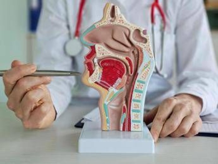 Tumore corde vocali, trovata la 'scintilla' che lo rende aggressivo e invasivo Tumore corde vocali, trovata la 'scintilla' che lo rende aggressivo e invasivo