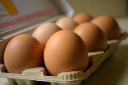 Quattro uova a settimana per 'curare' sistema nervoso, vista e pelle: cosa dice l'immunologo Quattro uova a settimana per 'curare' sistema nervoso, vista e pelle: cosa dice l'immunologo