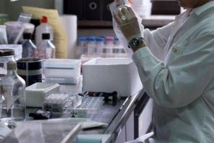Esperti Fossc: "Ai può ridurre del 25% i costi e del 40% i tempi sviluppo di un farmaco" Esperti Fossc: "Ai può ridurre del 25% i costi e del 40% i tempi sviluppo di un farmaco"