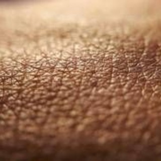 Dermatite atopica, quando la pelle condiziona la vita, 'Diari atipici' dà voce ai pazienti Dermatite atopica, quando la pelle condiziona la vita, 'Diari atipici' dà voce ai pazienti