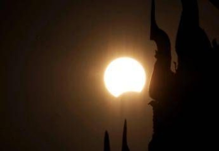 Eclissi, anche gli animali la vedranno: i consigli per non farli agitare