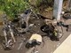 Savona, 23enne in scooter travolta e uccisa. Ragazzo posta video choc: "E' morta, abbiamo rotto tutto"