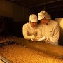 Fiere, a Tuttofood la risposta di Barilla ai nuovi trend alimentari Fiere, a Tuttofood la risposta di Barilla ai nuovi trend alimentari