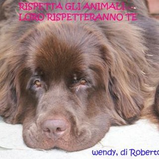 Imperia: Torino, apre le porte ai cani. Amoretti"Pure noi stiamo elaborando un regolamento"