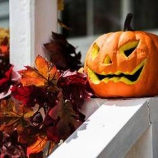 Zucca e semi di zucca: il lato sorprendente (e sano) di Halloween Zucca e semi di zucca: il lato sorprendente (e sano) di Halloween