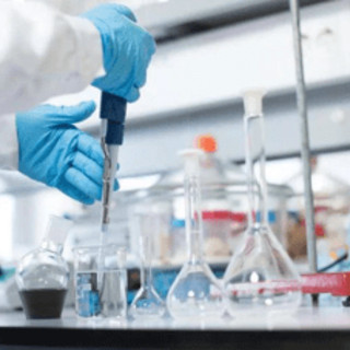 Lupus eritematoso, report: 'servono cure integrate e personalizzate'