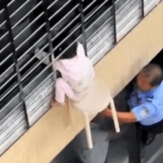Bimba di 3 anni si sporge dalla finestra al 12esimo piano e resta sospesa nel vuoto: il miracoloso salvataggio - VIDEO Bimba di 3 anni si sporge dalla finestra al 12esimo piano e resta sospesa nel vuoto: il miracoloso salvataggio - VIDEO