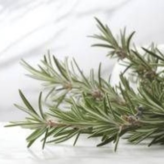 Buccia di limone, basilico e rosmarino: perché farli bollire e le proprietà 'segrete' Buccia di limone, basilico e rosmarino: perché farli bollire e le proprietà 'segrete'