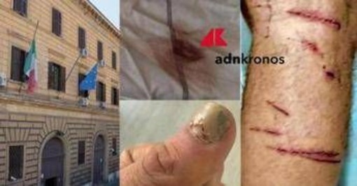 Denunciò botte e sequestro in cella: "Ora vivo nella paura, colpisce il silenzio delle istituzioni" Denunciò botte e sequestro in cella: "Ora vivo nella paura, colpisce il silenzio delle istituzioni"