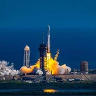 Il segreto per i viaggi nello spazio? I funghi di Chernobyl: la scoperta