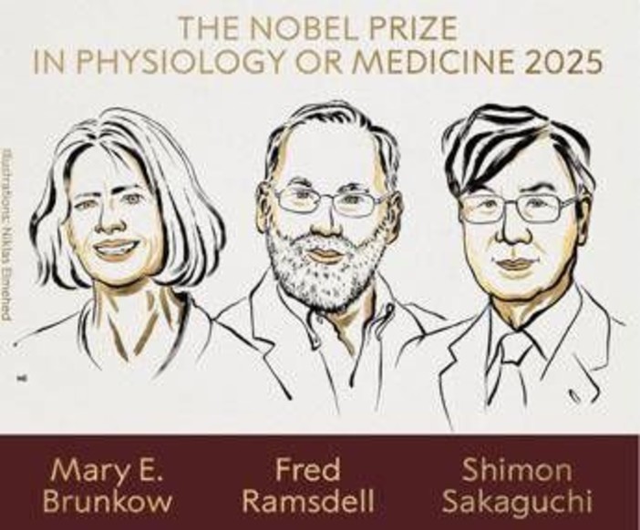 Nobel per la Medicina a Brunkow, Ramsdell e Sakaguchi per scoperte su sistema immunitario Nobel per la Medicina a Brunkow, Ramsdell e Sakaguchi per scoperte su sistema immunitario