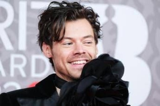 Harry Styles oltre la musica, lancia una linea di... sex toys: "Pleasing Yourself" Harry Styles oltre la musica, lancia una linea di... sex toys: "Pleasing Yourself"