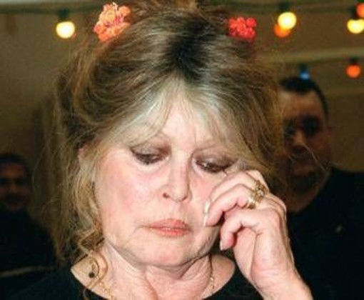 Brigitte Bardot ricoverata di nuovo, media: "In ospedale da 10 giorni" Brigitte Bardot ricoverata di nuovo, media: "In ospedale da 10 giorni"