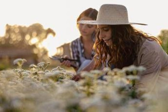 Sostenibilità, torna 'The Good Farmer Award': candidature aperte fino al 15 maggio Sostenibilità, torna 'The Good Farmer Award': candidature aperte fino al 15 maggio