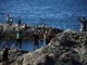 Migranti, Ue propone riforma Frontex: 30mila agenti e regia su rimpatri Migranti, Ue propone riforma Frontex: 30mila agenti e regia su rimpatri