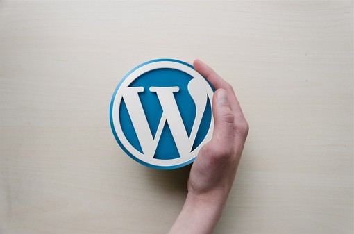Aggiornamento di Wordpress alla 6.0: ecco quali sono le novità Aggiornamento di Wordpress alla 6.0: ecco quali sono le novità