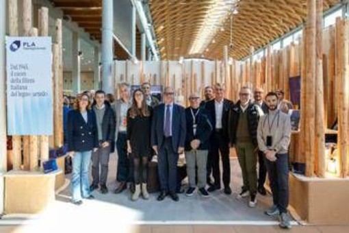 Rifiuti, Assoimballaggi: serve regolamentazione che valorizzi contributo filiera legno Rifiuti, Assoimballaggi: serve regolamentazione che valorizzi contributo filiera legno