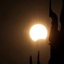 Eclissi, anche gli animali la vedranno: i consigli per non farli agitare Eclissi, anche gli animali la vedranno: i consigli per non farli agitare