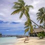 Cinque italiani morti alle Maldive durante un'immersione Cinque italiani morti alle Maldive durante un'immersione