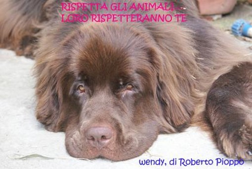 Imperia: Torino, apre le porte ai cani. Amoretti"Pure noi stiamo elaborando un regolamento"