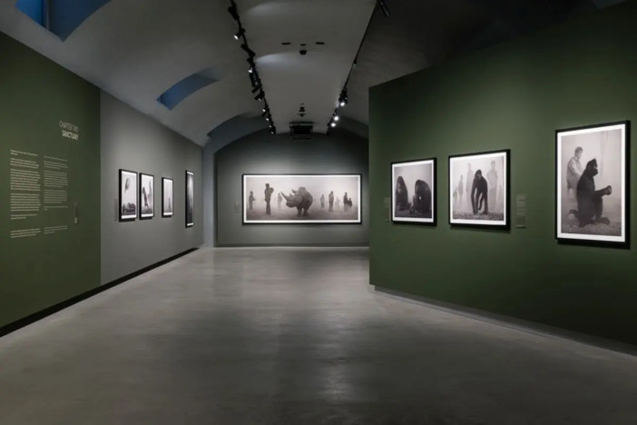 Alle Gallerie d’Italia di Torino la mostra “Nick Brandt” Alle Gallerie d’Italia di Torino la mostra “Nick Brandt”