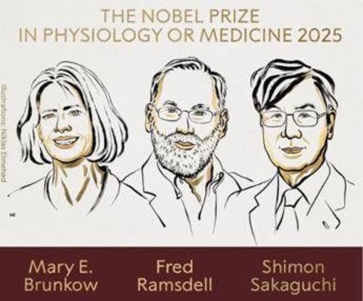 Nobel per la Medicina a Brunkow, Ramsdell e Sakaguchi per scoperte su sistema immunitario