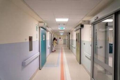 Candida auris, studio svela possibile tallone d'achille del fungo killer che spaventa ospedali Candida auris, studio svela possibile tallone d'achille del fungo killer che spaventa ospedali