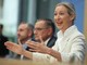 Ucraina, linea dura Afd: "Via gli ucraini dalla Germania, stop ai soldi per Kiev"