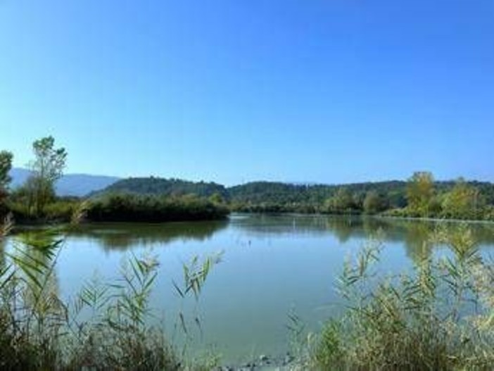 World Water Day, Sanpellegrino lancia Fonte