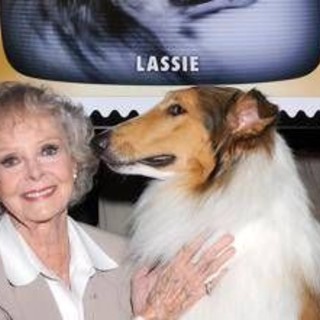 Morta June Lockhart, la mamma star di 'Lassie' aveva 100 anni Morta June Lockhart, la mamma star di 'Lassie' aveva 100 anni