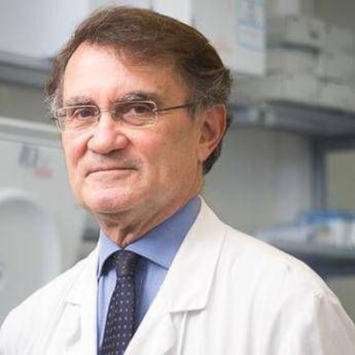 Italiana guarita dopo Lourdes, il neurologo: "Esperienza al limite dell'impossibile"