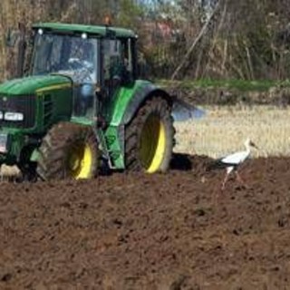 Caro carburanti ed energia, Filiera Italia lancia l'allarme: "Agricoltori schiacciati tra alti costi di produzione e prezzi bassi" Caro carburanti ed energia, Filiera Italia lancia l'allarme: "Agricoltori schiacciati tra alti costi di produzione e prezzi bassi"
