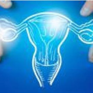 Tumori dell'endometrio, Picardo (Acto Piemonte): "Con dostarlimab trattamenti più efficaci per più donne" Tumori dell'endometrio, Picardo (Acto Piemonte): "Con dostarlimab trattamenti più efficaci per più donne"