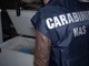 Macellazione clandestina a Salerno, sequestrati 6 quintali di carni Macellazione clandestina a Salerno, sequestrati 6 quintali di carni