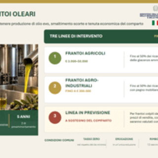Agricoltura, Ismea: 40 mln per frantoi con 'Cambiale Frantoi Oleari' Agricoltura, Ismea: 40 mln per frantoi con 'Cambiale Frantoi Oleari'