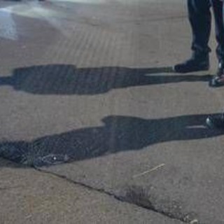 Sedicenne ucciso a Capizzi, mercoledì i tre fermati davanti al gip per la convalida