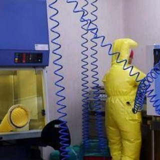 Shamonda virus, primo caso umano: cosa sappiamo, tutti i rischi Shamonda virus, primo caso umano: cosa sappiamo, tutti i rischi