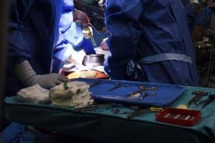 Malattia cronica da trapianto contro l'ospite, via libera Ue a belumosudil Malattia cronica da trapianto contro l'ospite, via libera Ue a belumosudil 