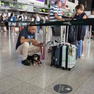 Etna, aeroporto di Catania chiuso: voli sospesi fino alle 12 di lunedì 28 settembre
