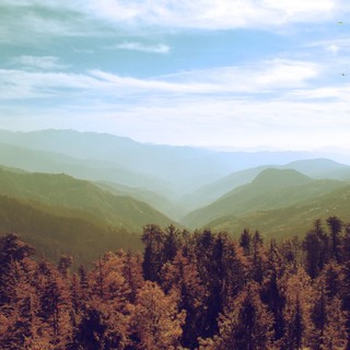 L'esplorazione del mondo della cannabis light con Weweed.it