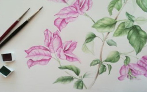 Bordighera: sabato prossimo, workshop di pittura botanica alla Biblioteca Civica Bordighera: sabato prossimo, workshop di pittura botanica alla Biblioteca Civica