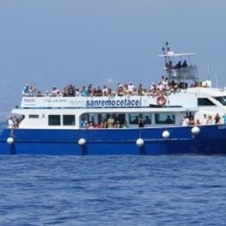 Dal 15 giugno, ritornano le escursioni di avvistamento cetacei. Gli orari e i luoghi di partenza