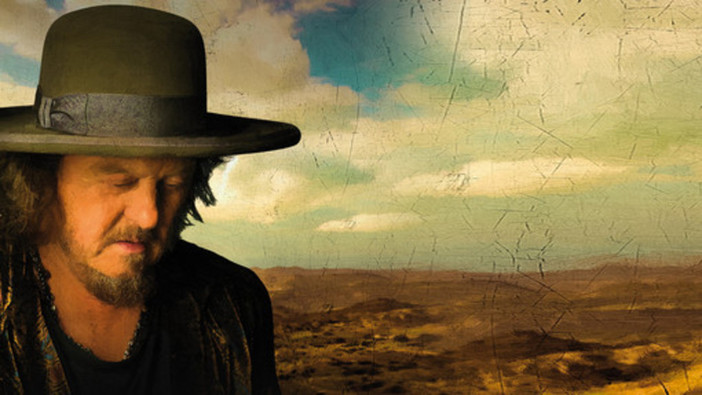 Sanremo: brutta avventura per il coniglio Zucchero, l'amaro racconto della proprietaria Sanremo: brutta avventura per il coniglio Zucchero, l'amaro racconto della proprietaria